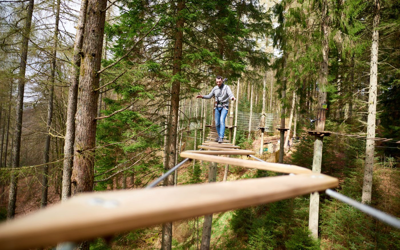 Go Ape Treetop Challenge in the Forest of Dean