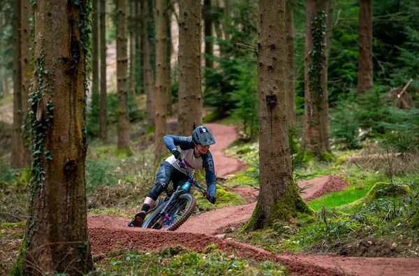 Mountain biking in the Forest of Dean